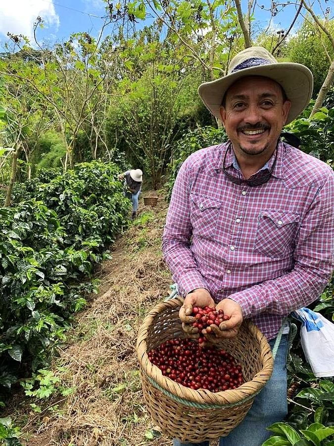 Jimmy Alvarado García harvesting coffee at the Villa Alba farm