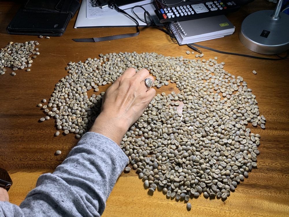 Kathya seleccionando el café verde grano por grano