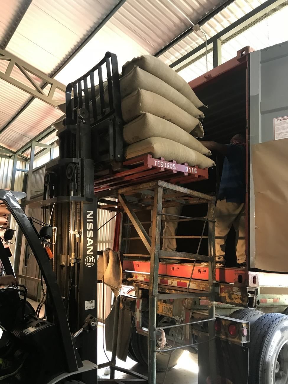 Sacos de Villa Alba Coffee siendo cargados en contenedor para exportacion